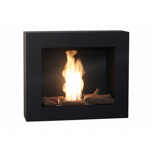 Best Bio Bioethanol Fireplace