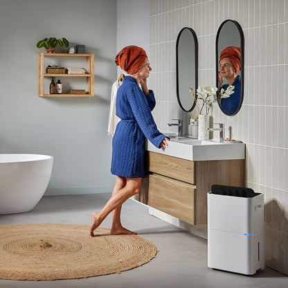 Dehumidifier + Purifier D820 A SMART