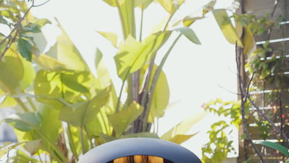 Forno de Pizza Turtle Motion a Gás com Pedra Rotativa