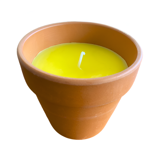 Anti-Mosquito Citronella Candle in Clay Pot